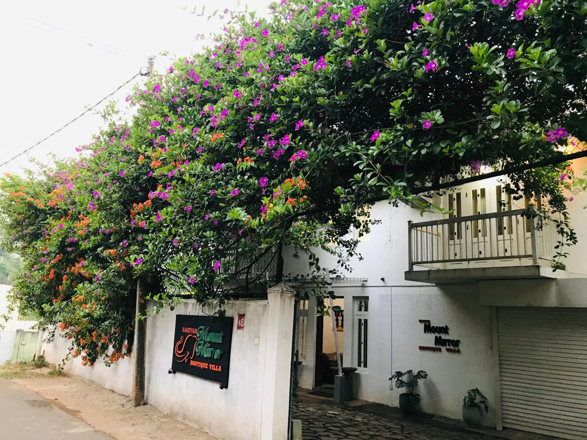 Kandyan Mount Mirror Boutique Villa المظهر الخارجي الصورة